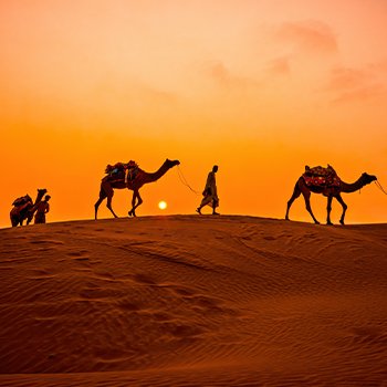 Discover the Royal Heritage of Rajasthan