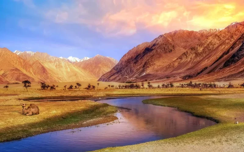 Explore Ladakh: The Ultimate Travel Guide to India’s Land of High Passes