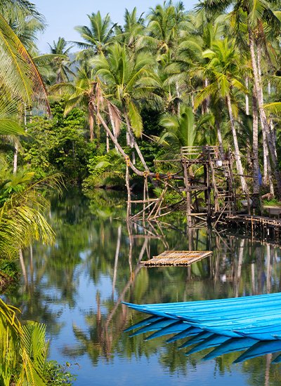 Kerala Bliss