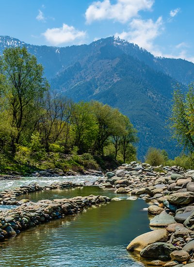 Manali Adventure