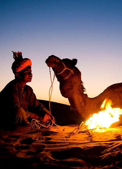 Rajasthan Royal Odyssey