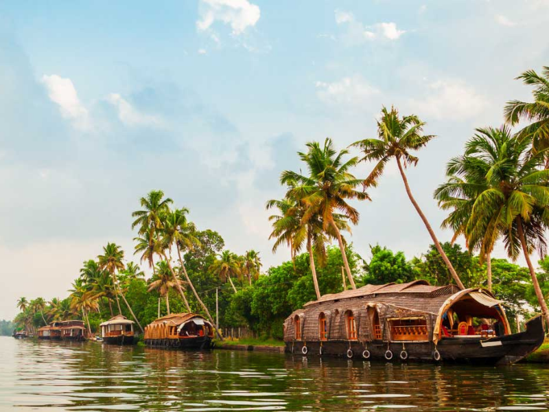 Amazing Kerala Experience