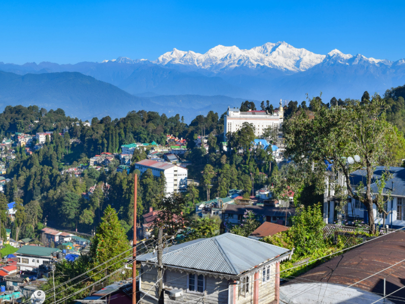 Dream Darjeeling